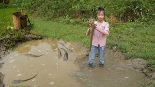 Best Hand Fishing | Amazing Girl Catching Big Fish By Hand in Pond Water - Poor Girl Daily Life