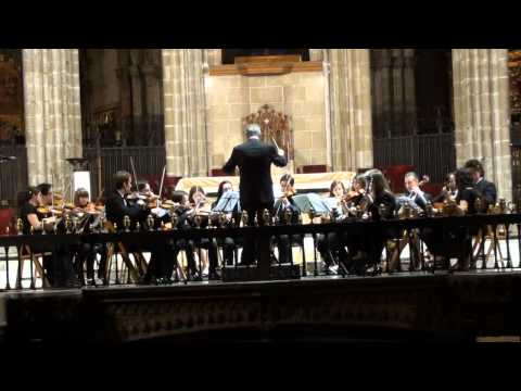 Serenata 40 Mozart Orquestra de Cambra Salvador RI...