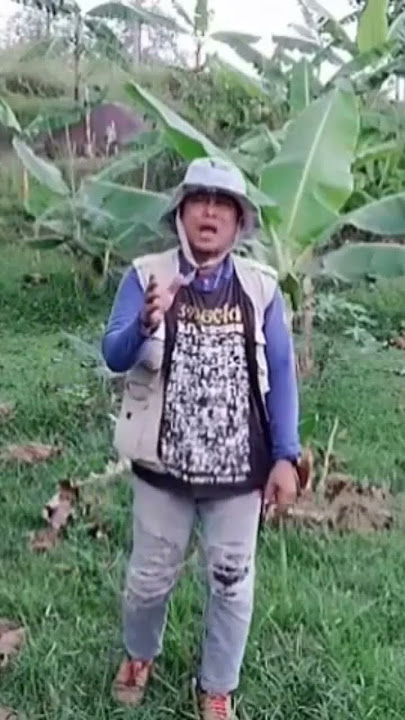 SUKET TEKI