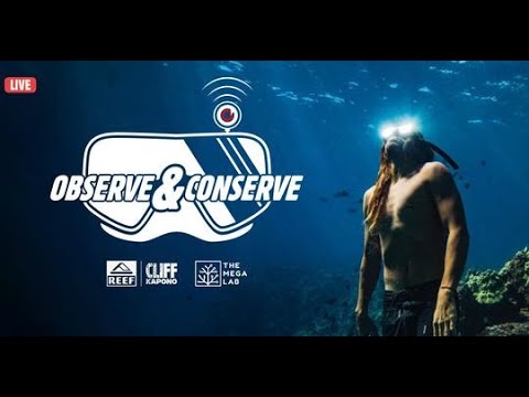 Aqualink | MEGA Lab | Hawaii live stream