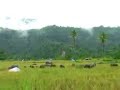 Parbue Ni Tangiang By Hans Trio Official Parbue Ni Tangiang By Hans Trio Official