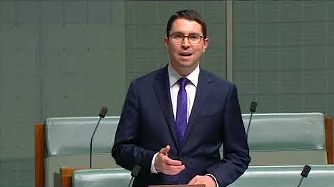 Labor MP Patrick Gorman speaks in the Australian P...