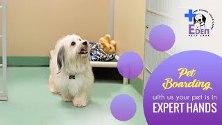 EDEN PETS CARE - Pet Clinic Boarding Kennels