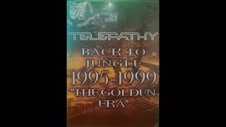 Bryan Gee - Telepathy Back To Jungle 95 99 'The Golden Era'