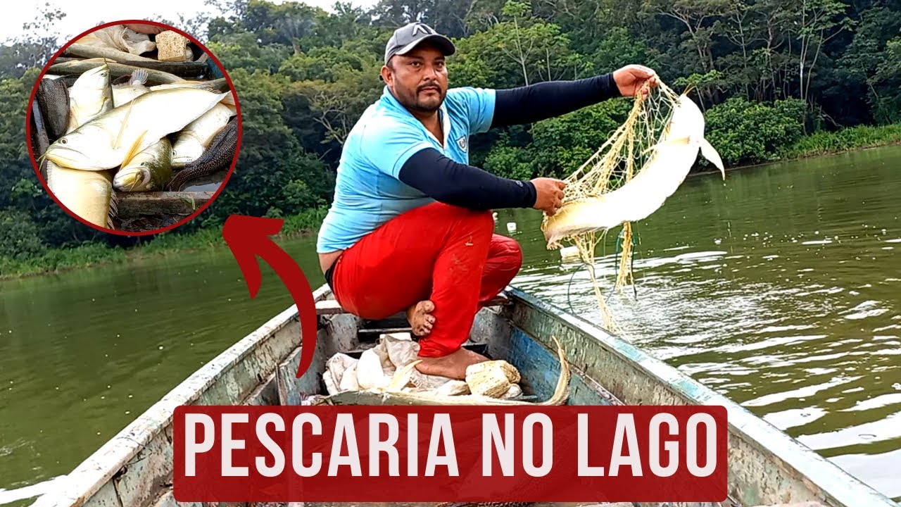 PESCANDO PEIXE ARUANÃ NO LAGO - (PART. 01) COLOCANDO MALHADEIRA