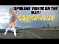 Attack of the Squirrel and Hyperlapse Capitol Hill Seattle