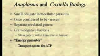 Bacteriology12.flv