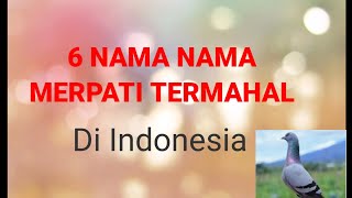 6 NAMA NAMA MERPATI TERMAHAL DI INDONESIA