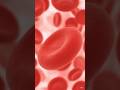 Anatomy and physiology of Blood#youtubeshorts#doctor#shorts#sound#viral#knowledge#education#study