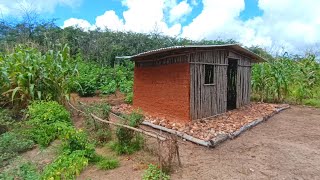 Vida Simples na Roça Com Muita Paz Retrospectiva do início das Plantações Mini Sítio