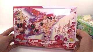 пластиковая модель Macross YF-29 & VF-25F Sheryl & Ranka Marking Version