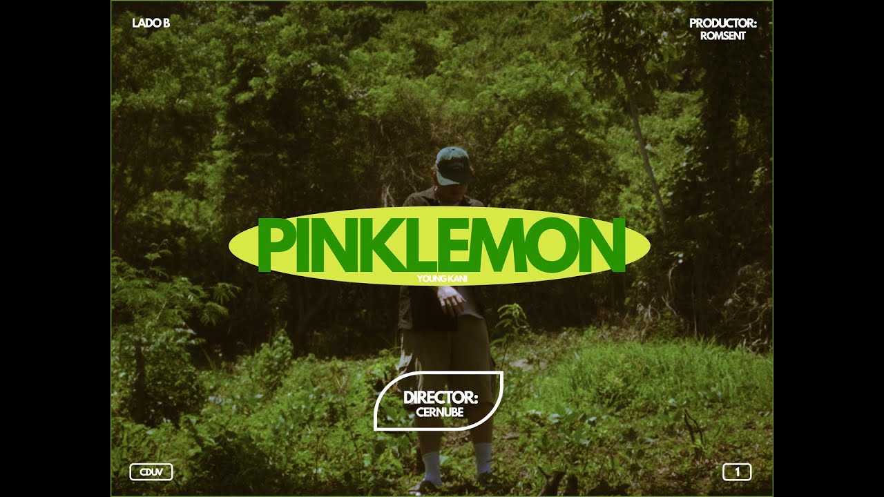 YOUNG KANI - PINKLEMON (VISUALIZER)