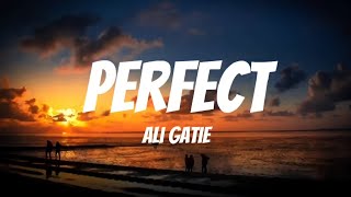 Ali Gatie - Perfect ( Lyrics )