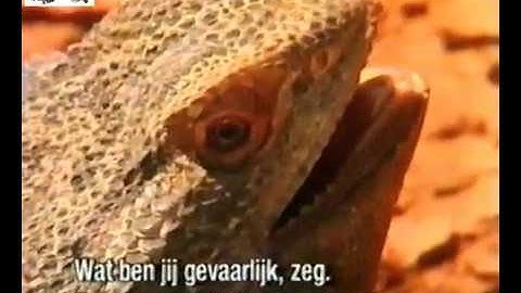 Traveling The Dingo Fence pt.1