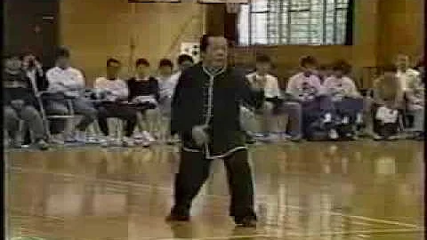 Xing Yi Quan demonstration by Feng zheng Bao