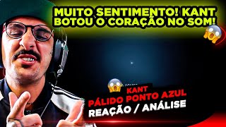 Muito Sentimento Kant - Pálido Ponto Azul Reação Análise