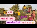 जेविक खेत में गया🍀 jevik khet mein gaya🌿 જેવીક ખેતર ગયો #vlogs #