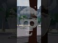 Bro Wanted Revenge😡#thestrongestbattlegrounds #shorts #roblox #tsbg #tsb #robloxshorts #anime