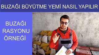 Buzağı Büyütme Yemi Nasıl Yapılır, Örnek Buzağı Rasyonu, Fabrika Yemi Nasıl Yapılır