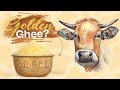 Why Bilona Ghee A2 Desi Ghee Is So Expensive?