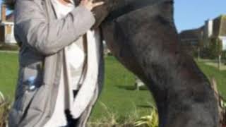 Meet Freddy The Grate Dane who holds the title of the World's Tallest Dog