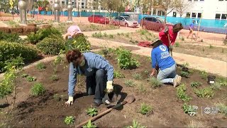 Affordable housing and green space merging together in downtown Tampa