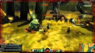 Adept Personal History (Guild Wars 2) DalZone Guild