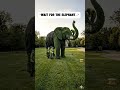 A garden that tells a wild story 🐘#elephantart #topiary #gardendesign #natureart #creativegardening