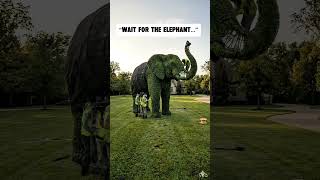 A garden that tells a wild story 🐘#elephantart #topiary #gardendesign #natureart #creativegardening
