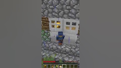 Minecraft WANDERING TRADER real story #shorts #minecraft