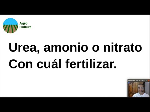 Vídeo: Diferencia Entre Nitrato De Amonio Y Sulfato De Amonio