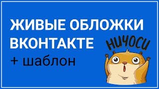 Как сделать живую обложку ВКонтакте + ШАБЛОН Как сделать живую обложку ВКонтакте + ШАБЛОН
