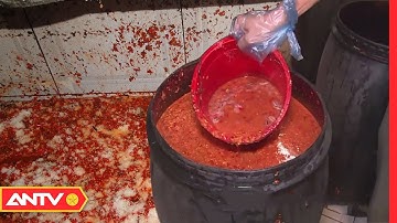 Kinh hoàng "công nghệ" sản xuất TƯƠNG ỚT SIÊU BẨN | An toàn sống 2019