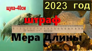 Норма вылова рыбы 2023  Штраф за рыбалку 2023  Размер рыб для вылова  Рыболовные правила 2023