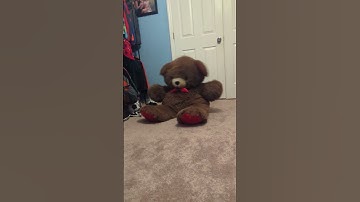 Teddy bear dancing