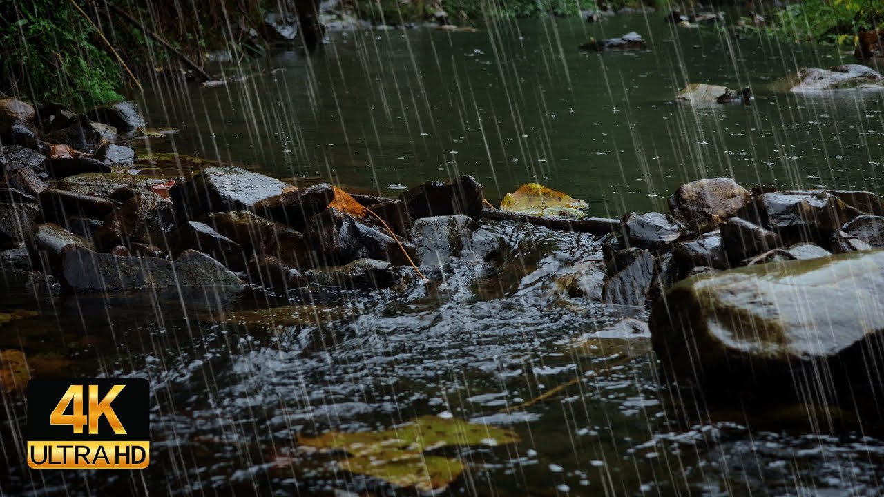 流水雨声,下雨天躺在溪流旁听雨声,助眠雨声,解压雨声,白噪音 - YouTube