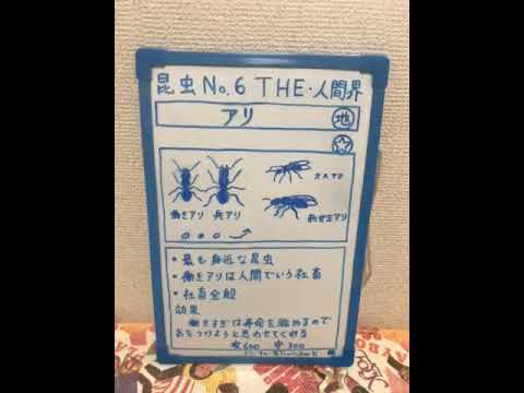 昆虫no 6 The 人間界 アリ 地 攻600 守300 効 働きすぎは寿命を縮めるので気をつけようと思わせてくれる Youtube