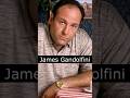 The Life And Death Of James Gandolfini 