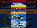 I love PAF🇵🇰🛩#Airforce👮💓#pakarmy #aviation #viral #song #funny #shorts #turkey show#babarazam #love