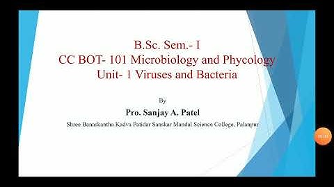 B.Sc. Sem.- 1 CC BOT 101 Unit- 1 Viruses and bacteria by Pro. Sanjay Patel