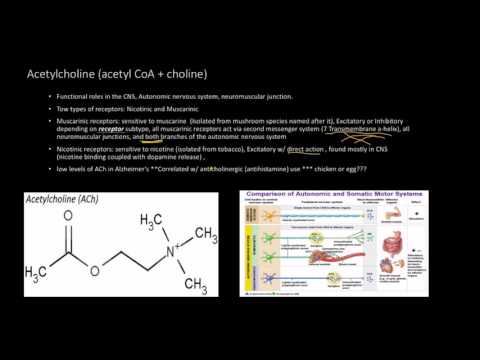 Video: Kokie receptoriai tarpininkauja reaguojant į neuromediatorių acetilcholiną?