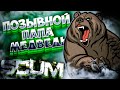 ПОЗЫВНОЙ ПАПА МЕДВЕДЬ в SCUM 2021 ВЫЖИТЬ СРЕДИ ЗАКЛЮЧЕННЫХ  / ЭПИЧНОЕ ВЫЖИВАНИЕ #91