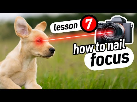 Focus Settings - What Nobody Explains Properly! (Lesson 7)