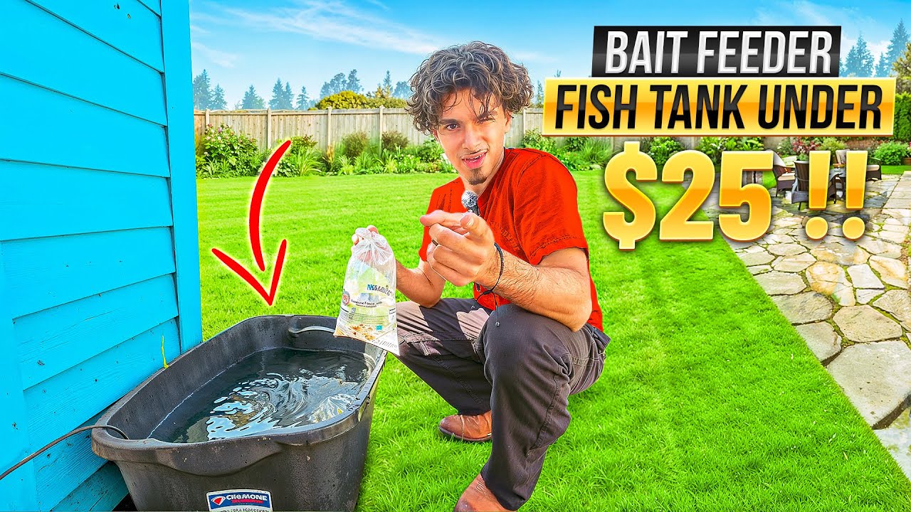 DIY EASY Budget BAIT Feeder Fish Tank Under $25 !!