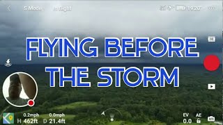 Flying before the storm