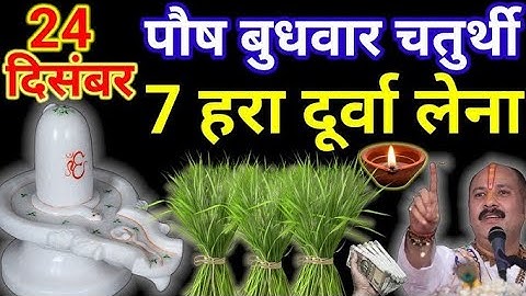 24 दिसंबर पौष बुधवार चतुर्थी तिथि के दिन 7 हरा दूर्वा वाला उपाय जरुर करे || Pradeep Ji Mishra 