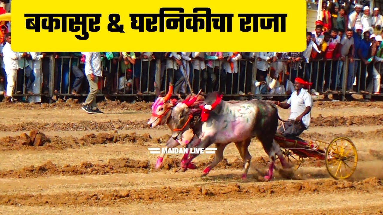 बकासुर & घरनिकीचा राजा