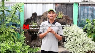 Materi PJOK Kelas 5 || Menghentikan Bola Menggunakan Dada dan Kepala