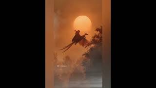 🐦‍🔥🟧   Phoenix In The Glass Sky  ●1   || Classical music  Relaxing  Gantle Fantasy  Ambient .   🟠🔥 screenshot 5