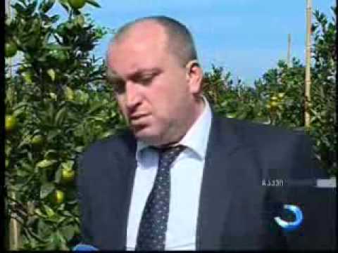 \"საქართველოს რკინიგზამ\" ბათუმის მიმართულებით დამატებითი მატარებლები დანიშნა